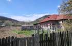 Casa batraneasca de vanzare - 3