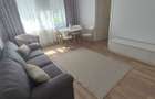 Apartament 2 camere de inchiriat pe Strada Banatului (zona RMB) - 6