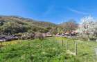 Casa si teren intravilan 3426mp la Poiana Galdei - 3