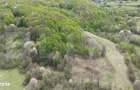 Teren extravilan 3.38 ha, zona naturala superba, Almasu Mare - 3
