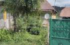 Casă individuală cu 4 camere cu Teren 6000 Mp în Cacova Ierii - 6