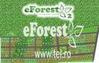 eForest teren rezidential in zona de padure, deschidere spre padure - 3