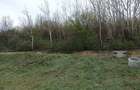 Teren Topoloveni strada Zavoiului - 2