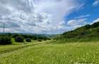 Teren agricol de 14500 mp, în Săvădisla - 7