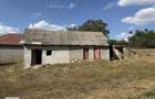 Casa cu teren de 8000 mp. - Cetariu - IMOBIHOR - 11