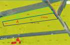 Vand teren intravilan 3163mp Bucureasa - 2