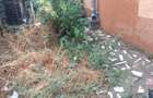 Casă individuală cu 3 camere cu Canalizare în Ultracentral - 11