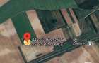 Vand teren arabil 6 ha , Localitatea Gradinari , judetul Giurgiu - 1