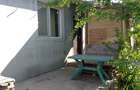 Casa de vânzare în comuna Romanu - 14