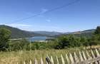 Teren intravilan de vanzare in localitatea Ceahlau 13.000 mp - 5