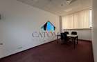 COTROCENI BUSINESS CENTER / ACCES STRADAL / METROU / DISPONIBIL ! - 9