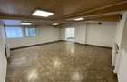 Spațiu comercial, de 140 mp, în Nicolina - 8