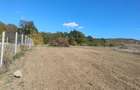 Teren Construcții intravilan de 1001 mp, în Betfia - 1