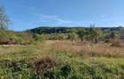 Teren 5,70 ha intravilan+extravilan, Vladimir-Andreesti , Jud.Gorj - 4