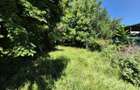 Casa 3 camere + , singur in curte - 2