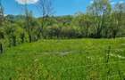 Teren in zona Calimanesti-Caciulata, cu iesire la parau - 5