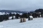 Teren de vanzare extravilan in Bucovina Breaza zona Paraul Negrei - 4