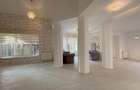 Luxury 5-room Duplex - Iancu Nicolae - 7