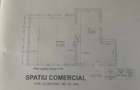 Spațiu comercial, de 140 mp, în Nicolina - 9