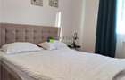 Apartament 2 camere, mobilat si utilat, Toamnei, Centru Civic - 3