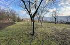 Vand Casa PLATOUL Cornesti str. CORNESTI- teren 1150 mp - 2