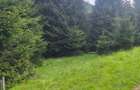 Teren de vanzare in Rausor - 3