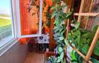 Apartament cu 3 camere decomandat în Hârșova - 2