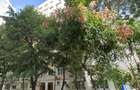 Apartament cu 2 camere decomandat în Doamna Ghica - 1