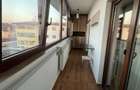 Chirie apartament 3 camere Valea Lupului - 5