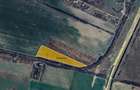 Teren agricol extravilan de 25000 mp, în Rudicica - 2