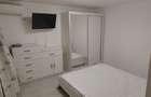 Inchiriez ap 1 canera zona Basescu - 4