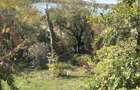 Casa de vacanta izvorul rece balta Mara cabana vanatorului - 2