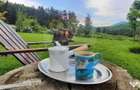 Teren 7160 mp/PUZ/cabana-ideal pentru proiect turistic/gl... - Tarlungeni (Brasov) - 16