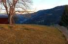 Teren locatie cu panorama superba Scarisoara-Alba - 3