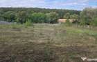 TEREN INTRAVILAN//COM. PLOPU//1300//2700 MP - 4