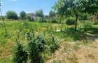 Casă individuală cu 4 camere cu Canalizare în Turnișor - 9