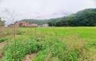 Teren Construcții de 8600 mp, în Primăverii - 10