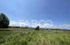 Teren intravilan 5000 mp zona Turnisor din Sibiu - 1