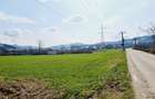 Teren intravilan 8906 mp, Dofteana - 3