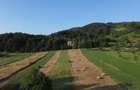Teren 5886 mp In Bucovina - Bucsoaia! De Vanzare! 0727817187 - 3