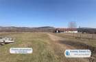 Antony Estate | Oportunitate de investitie, Ferma Padurea Galbena - Cehal, Marghita - 13