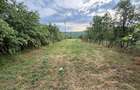 Teren intravilan de 3600 mp, în Drajna - 2