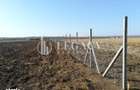 Teren pentru investi?ie, intravilan + extravilan, Mogo?e?ti-Siret - 3