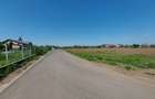 Teren de 583 mp, în Snagov - 7