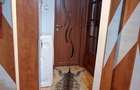 Apartament cu 2 camere decomandat în Iosefin - 13