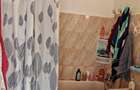 Apartament cu 2 camere semidecomandat în Dacia - 8