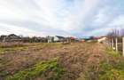 Teren Construcții intravilan de 1215 mp, în Borș - 4