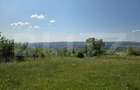 Teren agricol extravilan de 600 mp, în Dâmbul Rotund - 3 Teren agricol extravilan de 600 mp, în Dâmbul Rotund - 3