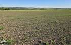 Parcele teren intravilan in Ciceu Mihaiesti - 2900 mp si 2495 mp - 4