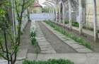Vand casa com.Vadastra jud. Olt - 6